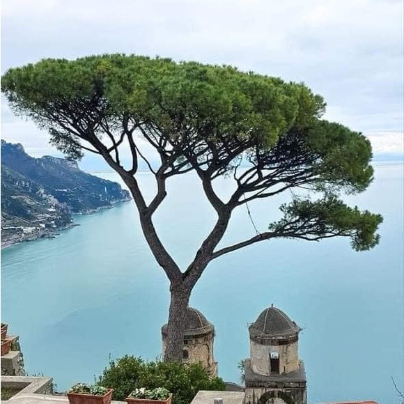 Meet your Posher, Suzie - Picture 6 of 16